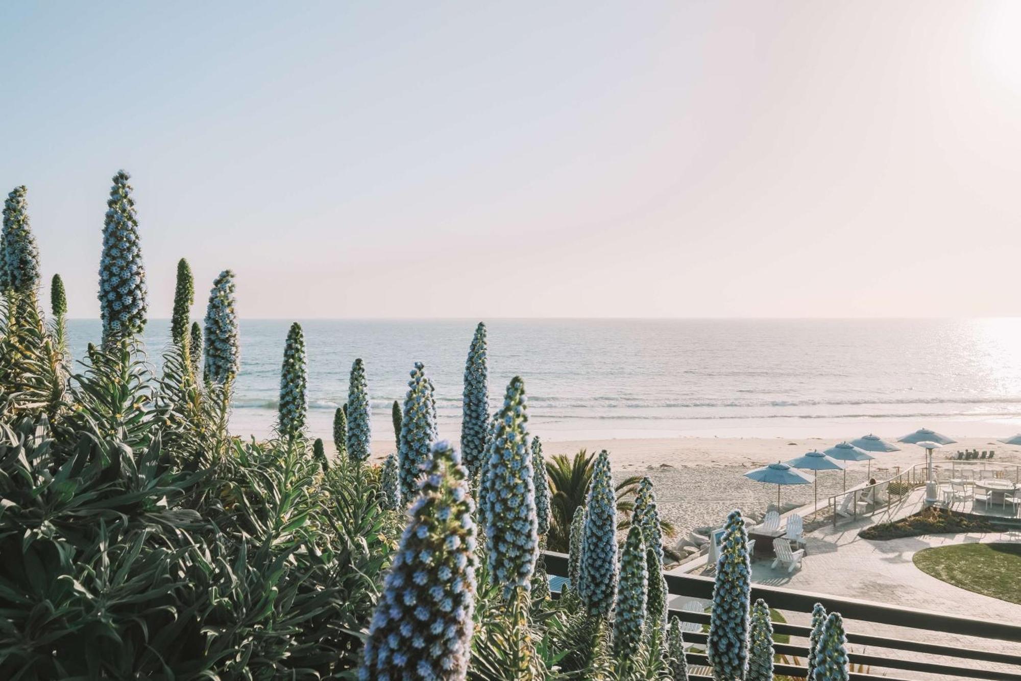 Resort Waldorf Astoria Monarch Resort&club Dana Point